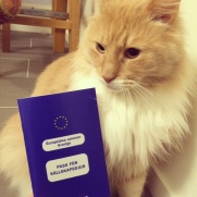 Wally and his passport